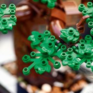 10281 LEGO® ICONS Bonsaipuu