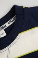 COCCODRILLO t-särk ACADEMY BOY JUNIOR, värv, ZC5143204ABJ-022-140, 140 cm