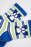 COCCODRILLO sokid SOCKS BOY, värviline, cm