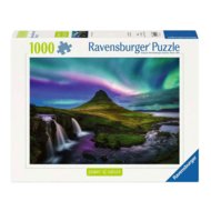RAVENSBURGER PUZZLE pusle Värvikaimad looduse imed, 1000 tk, 12001744 8