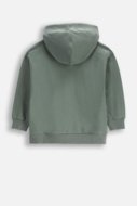 COCCODRILLO kapuutsiga kampsun SAGE TIME BOY KIDS, roheline, WC5132401SBK-027-122, 122 cm
