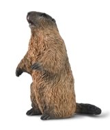 COLLECTA figuur marmot, 80044