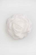 COCCODRILLO hairpin PETIT BIJOU, kreemjas, WC5311722PBJ-003-000, one size cm