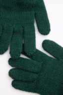 COCCODRILLO gloves ACCESSORIES WINTER BOY, rohelised, ZC4360306AWB-011-XXL, XXL cm