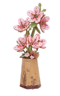 ROWOOD puidust konstruktor Sakura, TW101