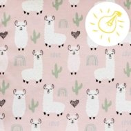 CEBA padi Lolly Polly Lama