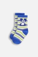 COCCODRILLO sokid SOCKS BOY, värviline, cm
