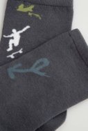 COCCODRILLO sokid SOCKS BOY, värviline, cm