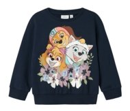 NAME IT PAW PATROL pusa, 13238280