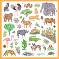 DJECO kleepsukomplekt Kenya (160 tk), DJ09284