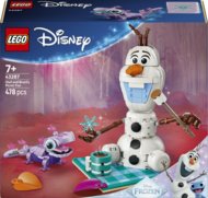 43287 LEGO® ǀ Disney Frozen Olafi ja Bruni piknikulõbu