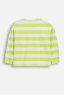 COCCODRILLO long sleeved t-shirt, yellow, size