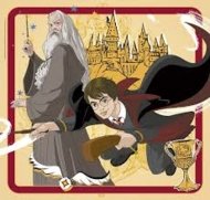 CLEMENTONI pusle Square Harry Potter, 3x48 tk., 25312