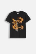 COCCODRILLO t-shirt EVERYDAY BOY A, mustad, ZC4143214VBA-021-164, 164 cm
