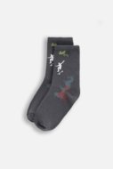 COCCODRILLO sokid SOCKS BOY, värviline, cm