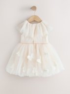 NEXT kleit, W64418, 74 cm