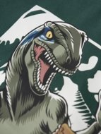 NAME IT JURASSIC WORLD t-särk, 13254420-395551 92 cm