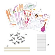 DJECO Liigutatavad paberinukud Baleriinid, DJ09649