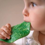 OLI&CAROL närimislelu CHLOROPHYLL LEAF