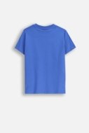 COCCODRILLO t-särk ACADEMY BOY KIDS, sinine, cm