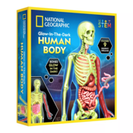 NATIONAL GEOGRAPHIC komplekt Glow in the Dark Human Body, RTHUMBODY