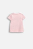 COCCODRILLO lühikeste varrukatega t-särk, roosad,
