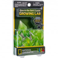 NATIONAL GEOGRAPHIC komplekt Carded Crystal Grow Glow in the Dark, NGCRYSTALGIDCRD
