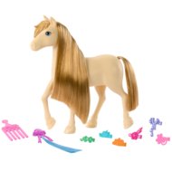 BARBIE ponid, HXJ29