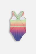 LEMON ujumistrikoo SWIMWEAR GIRL, värviline, WL5376401SWG-022-152, 152