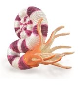COLLECTA figuur pravitoceras, 88927