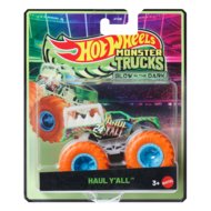 HOT WHEELS Monster Trucks pimedas helendavad autod, JFX08