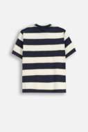 COCCODRILLO t-särk ACADEMY BOY JUNIOR, värv, ZC5143204ABJ-022-140, 140 cm