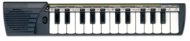 BONTEMPI 25-klahviline Concertino, 152500
