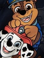 NAME IT PAW PATROL pusa, 13238408