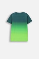 COCCODRILLO short sleeved t-shirt, green, size