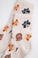 COCCODRILLO sokid SOCKS BOY, värviline,