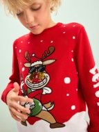 NEXT kampsun, F22674, cm