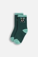 COCCODRILLO sokid SOCKS BOY, roheline, cm