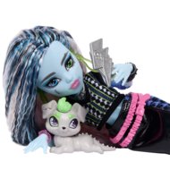 MONSTER HIGH nukk Frankie, JHK31