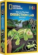 NATIONAL GEOGRAPHIC komplekt Glow in the Dark Gecko Dissection Lab, RTGECKOLAB