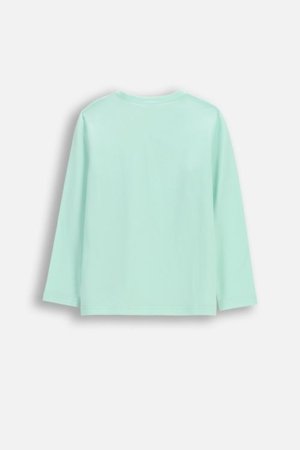 COCCODRILLO pikkade varrukatega t-särk, mint, cm 