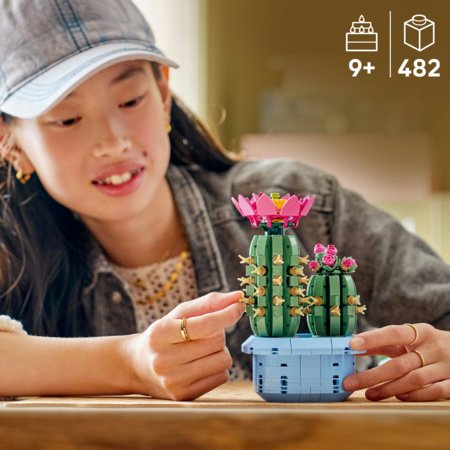 11509 LEGO® BOTANICALS 11509 