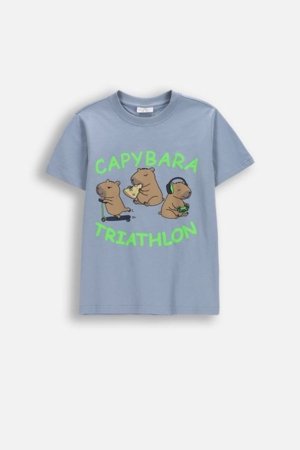 COCCODRILLO lühikeste varrukatega t-särk, sinised, cm 