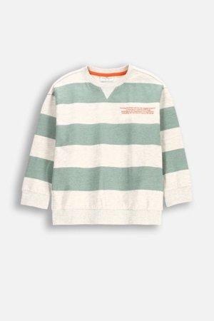 COCCODRILLO pikkade varrukatega särk SAGE TIME BOY KIDS, värv, WC5143101SBK-022-122, 122 cm 