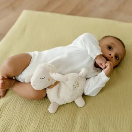 FEHN soojakott viinamarjaseemne täidisega SHEEP, Nature, 46144 