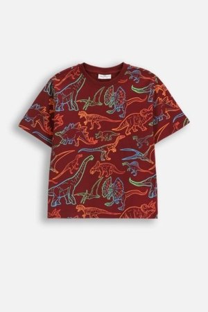 COCCODRILLO t-särgid EVERYDAY BOY A, värv, ZC5143208VBA-022-092, 92 cm 