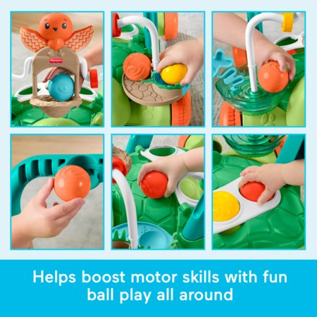FISHER-PRICE kilpkonna käimistugi, JKD63 