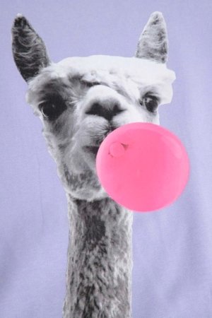 COCCODRILLO lühikeste varrukatega t-särk, lillad, WC6143217VGB-016-110, 110 suurus 