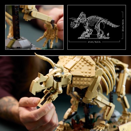 77985 LEGO® Jurassic World Dinosauruse fossiilid: Triceratops 