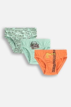 COCCODRILLO aluspüksid PANTIES, värv, WC5409302PAN-022-092, 092 